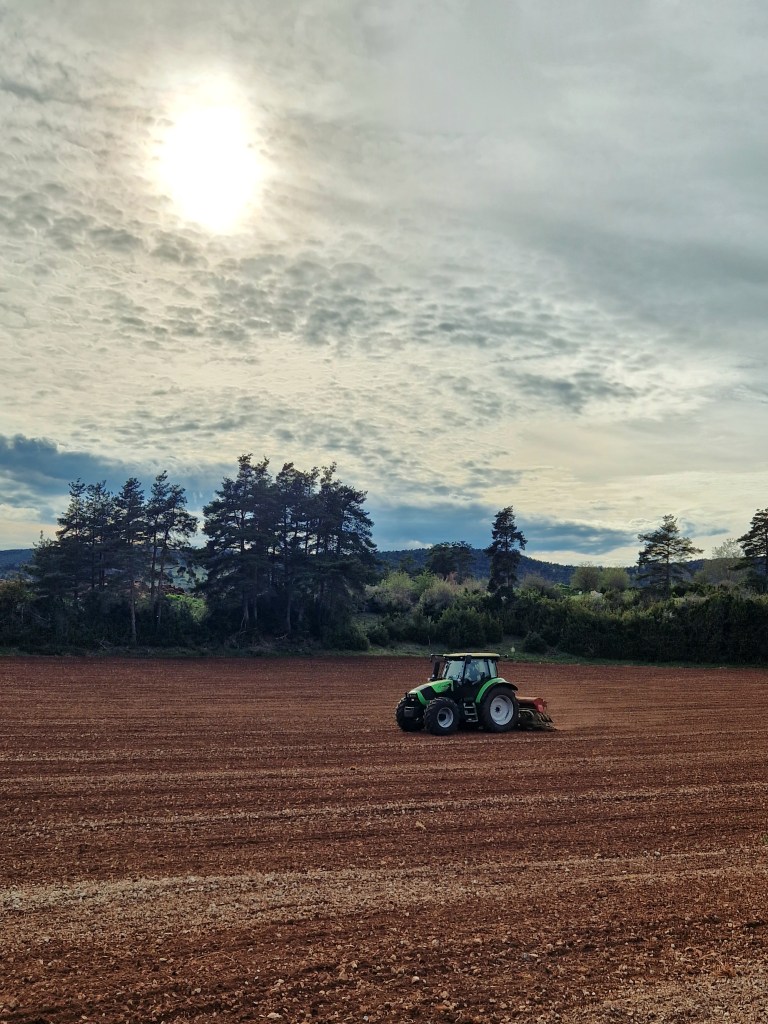 Semis GAEC LE LEVEJAC